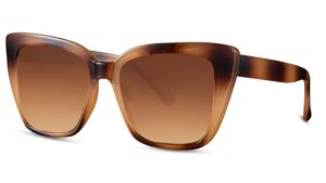 Bishop -aurinkolasit (2024)